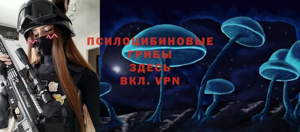 мдма Гусев