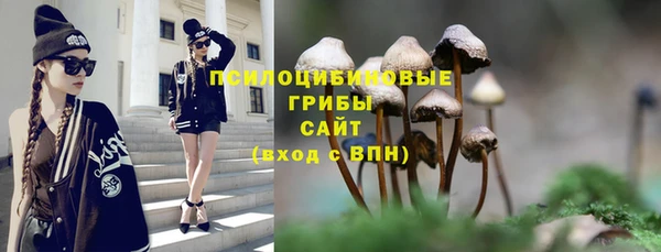тгк Гусиноозёрск
