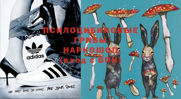 тгк Гусиноозёрск