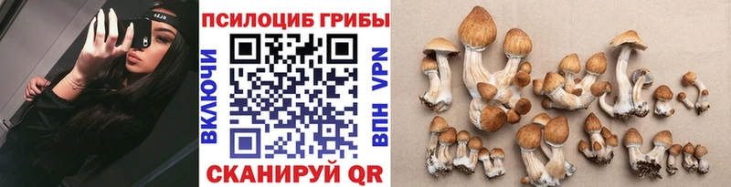 Галлюциногенные грибы прущие грибы  Купить  Новоаннинский 